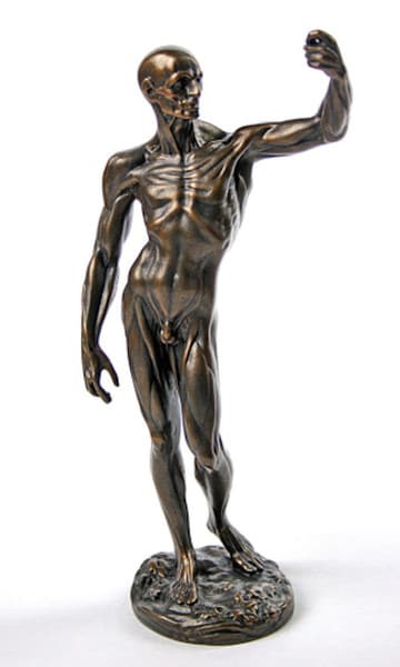 Anatomical Study Of Flayed Male L'ecorch - Image 3