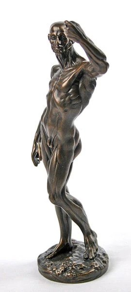 Anatomical Study Of Flayed Male L'ecorch - Image 5
