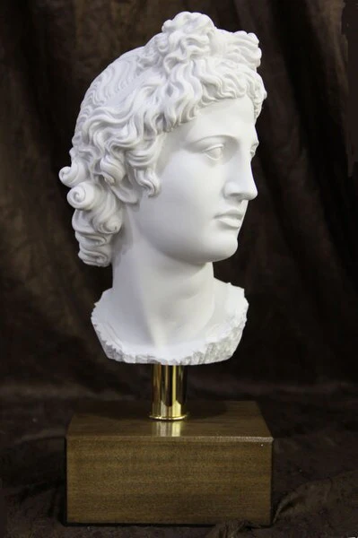 Head of Apollo Belvedere on Base Bust Statue