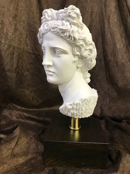 Head of Apollo Belvedere on Base Bust Statue - Image 2