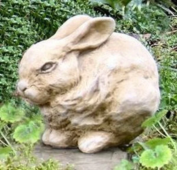Baby Rabbit Resting