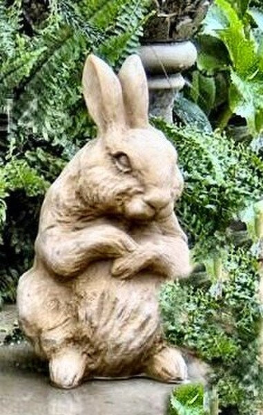 Baby Rabbit, Sitting