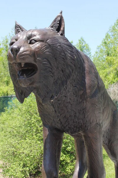 Bob Cat Bronze Sculpture - Image 3