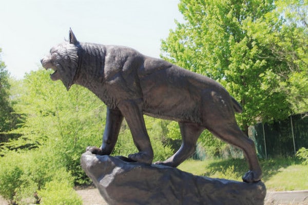 Bob Cat Bronze Sculpture - Image 4