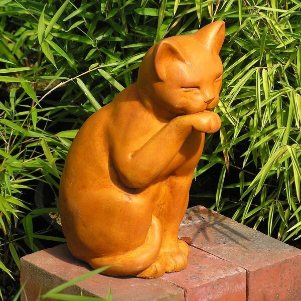 Contented Cat