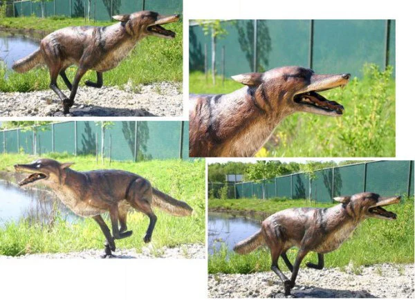 Coyote / Fox Bronze Sculpture