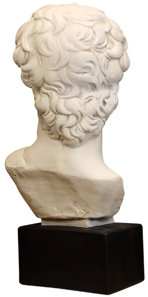 Head David by Michelangelo Bust Sculpture 24" H - Image 6