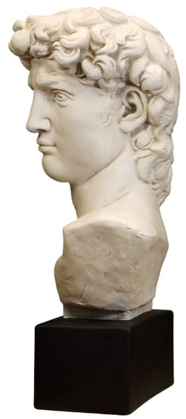 Head David by Michelangelo Bust Sculpture 24" H - Image 8