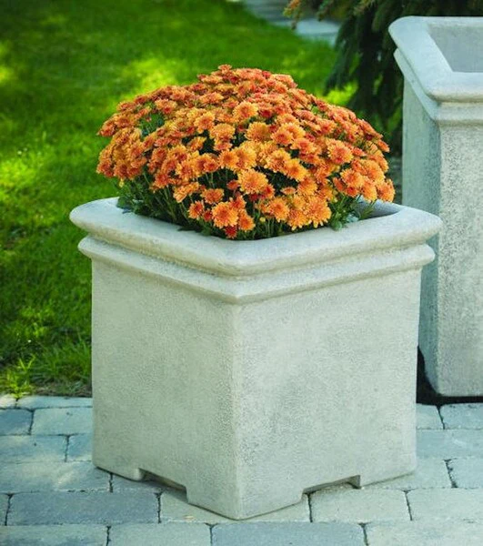 Double Rim Square Box 18" Planter