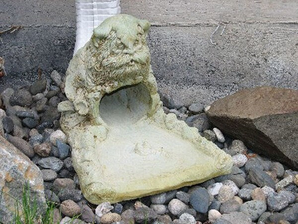 Rainman Splash Guard