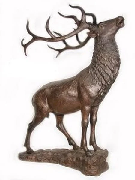 Elk Standing On A Rock And Baying Base