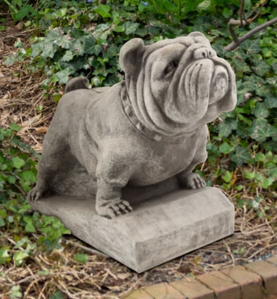 English Bull Dog Cement Garden Statue 19"