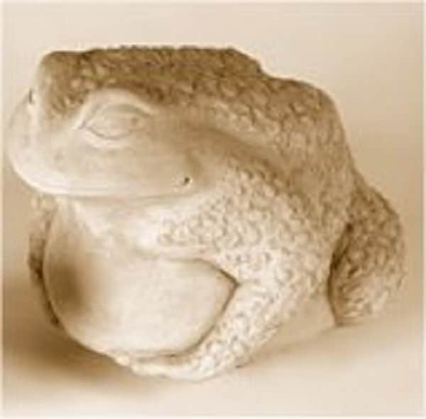 Fat Frog Large - Image 2