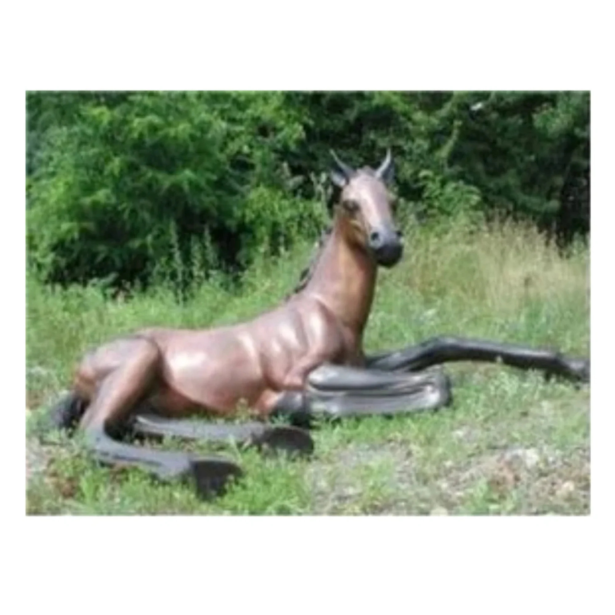 Foal Horse Bronze Sculpture