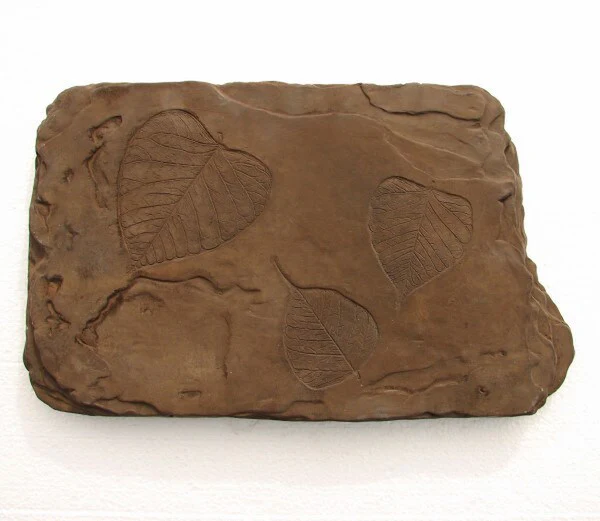Fossil Stepstone