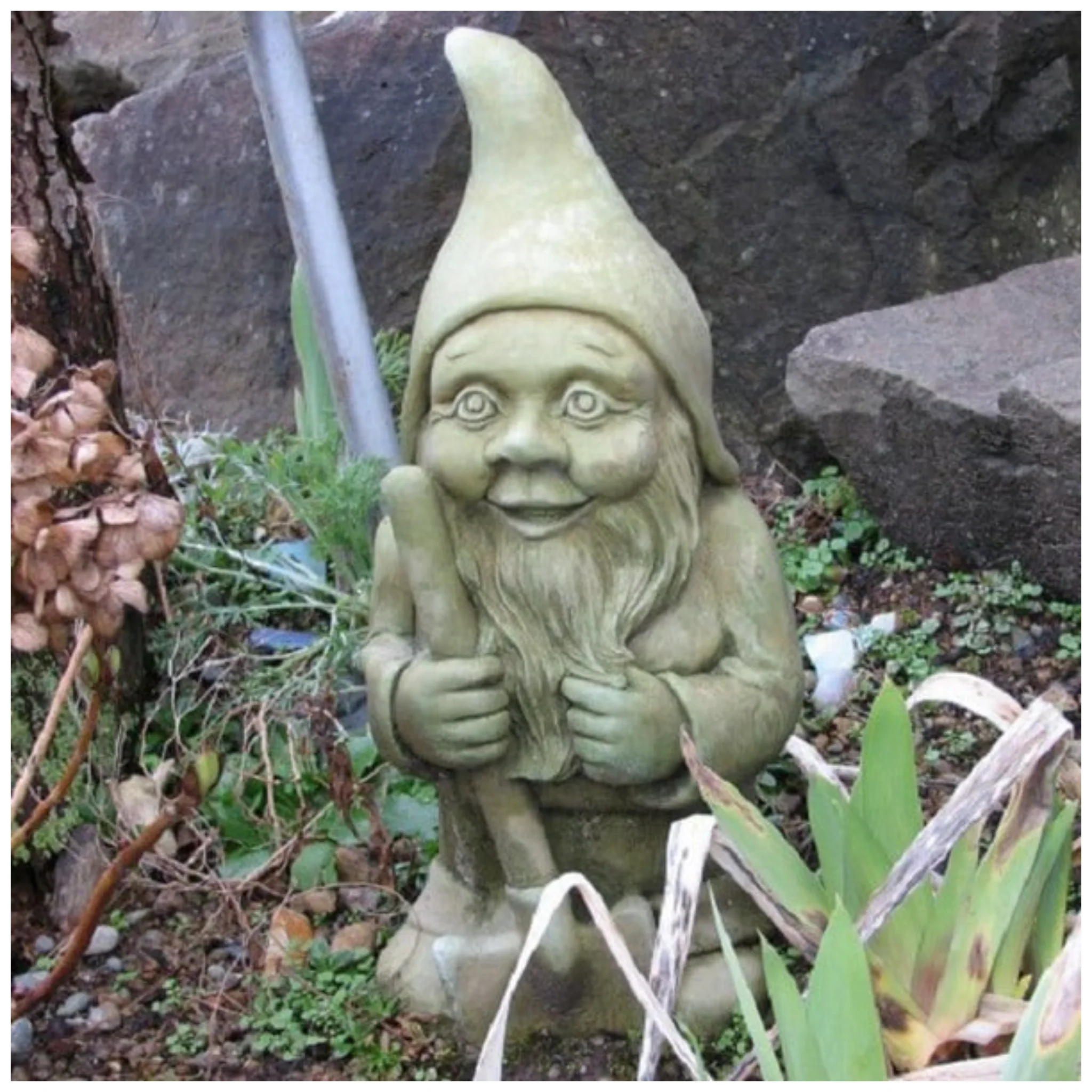 Garden Gnome