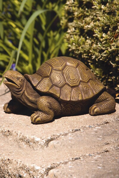 Garden Turtle