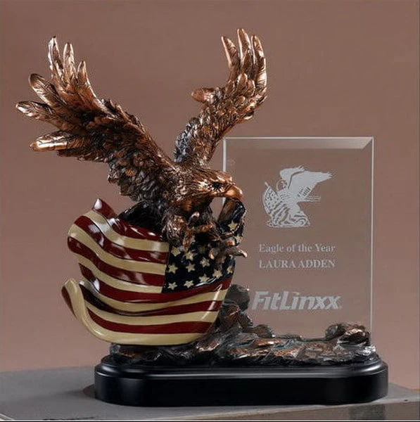 Glass Imprint Eagle Framew/american Flag - Image 2