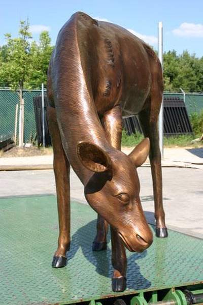 Grazing Doe Deer Life-size Bronze Sculpture - Image 5