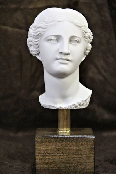 Head of Aphrodite Venus Bust 10" on Base Statue