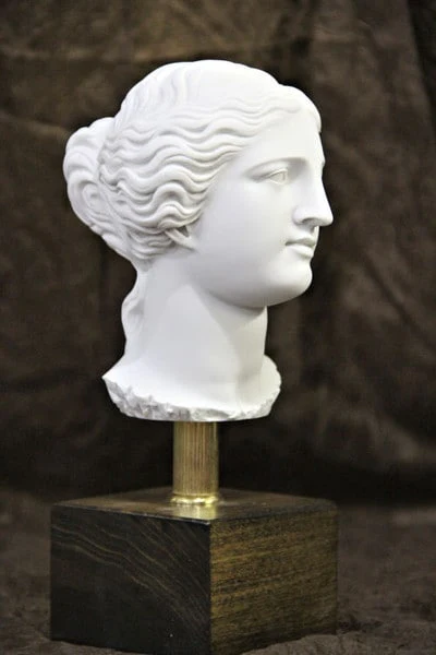 Head of Aphrodite Venus Bust 10" on Base Statue - Image 2