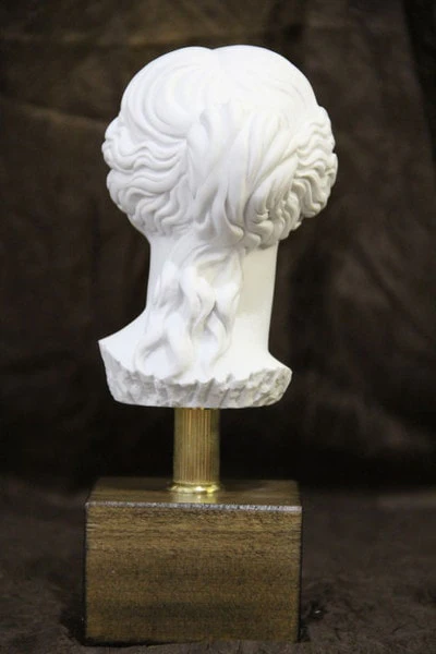 Head of Aphrodite Venus Bust 10" on Base Statue - Image 4