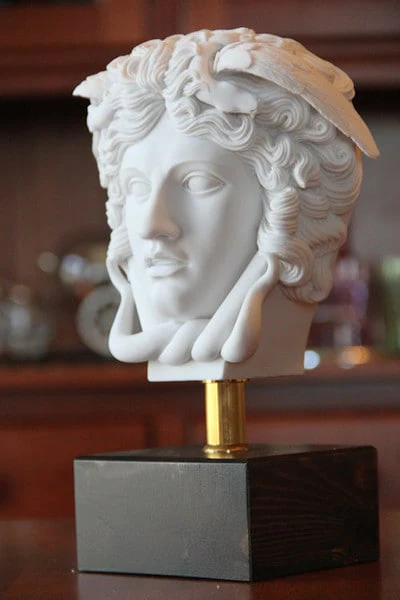 Head Of Medusa Bust 9" High - Image 3
