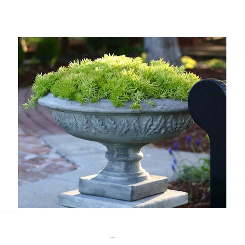 Leaf Motif Planter Cast Stone 13" High