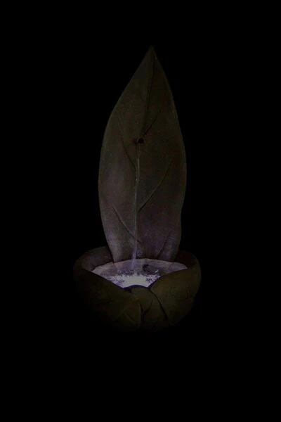 Leaf Sculptural Single Spout Garden Fountain - Image 2