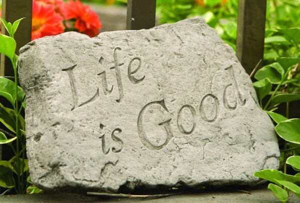Life Is Good Stepping Stone - Image 3
