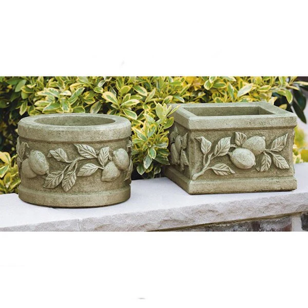 Limone Round & Square Planters 8" High