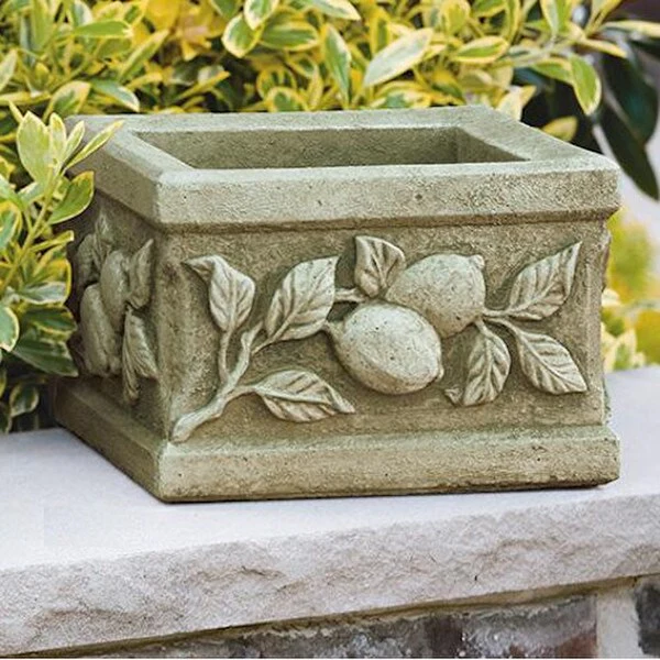 Limone Square Cement Planter 8" High