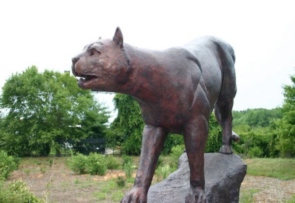 Lioness Sculpture On Rock Wild Cat Bronze - Image 4
