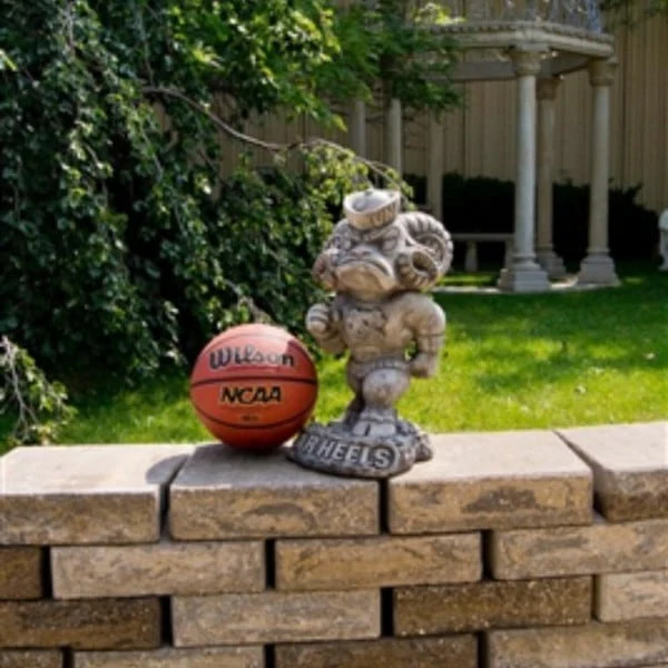 North Carolina "Tar Heel" College Mascot - Image 2