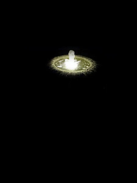 Organic Low Bowl Fountain with Light - Image 2