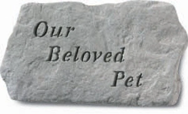 Our Beloved Pet