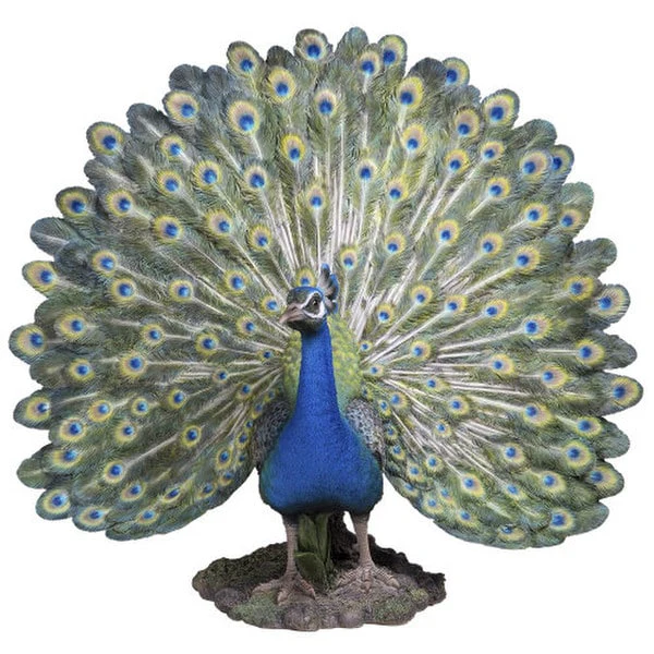 Peacock Sculpture Large