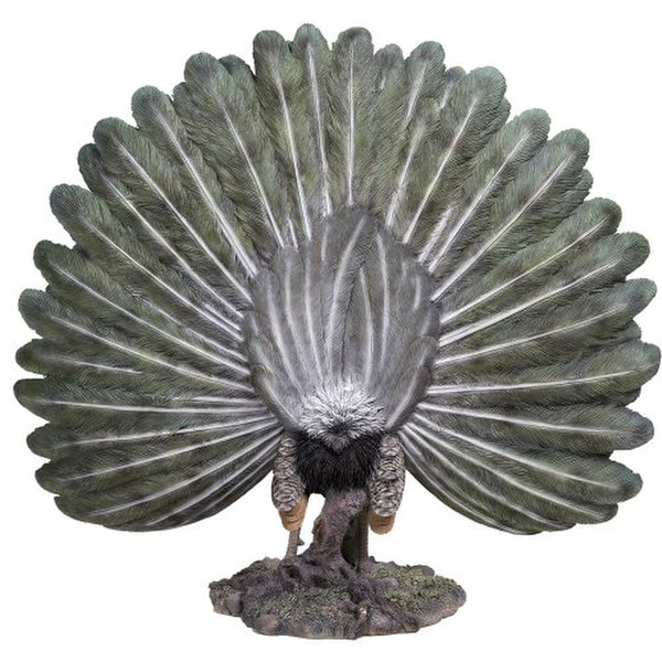 Peacock Sculpture Large - Image 4