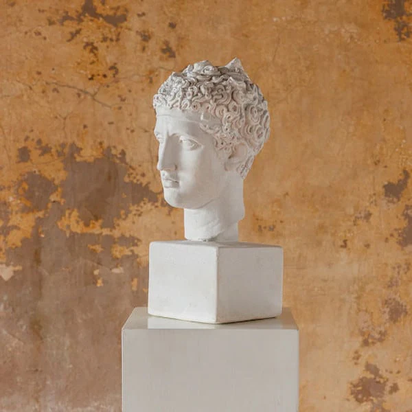 Perseus Plaster Bust – Art Study Cast & Classical Statue - Image 2