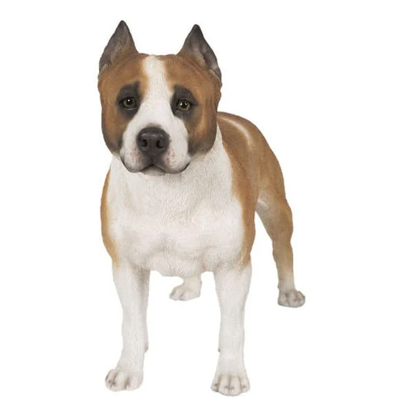 Pit Bull Dog Statue