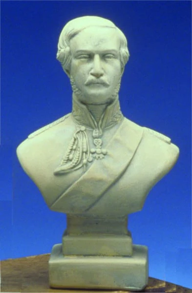 Prince Albert, 8"