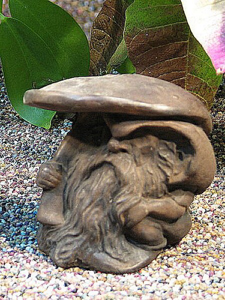 Rainman W/mushroom