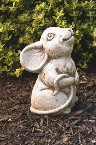 Rudy Mouse