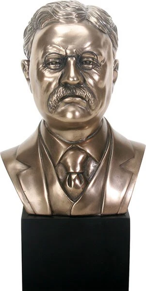 Theodore Roosevelt Bust Sculpture