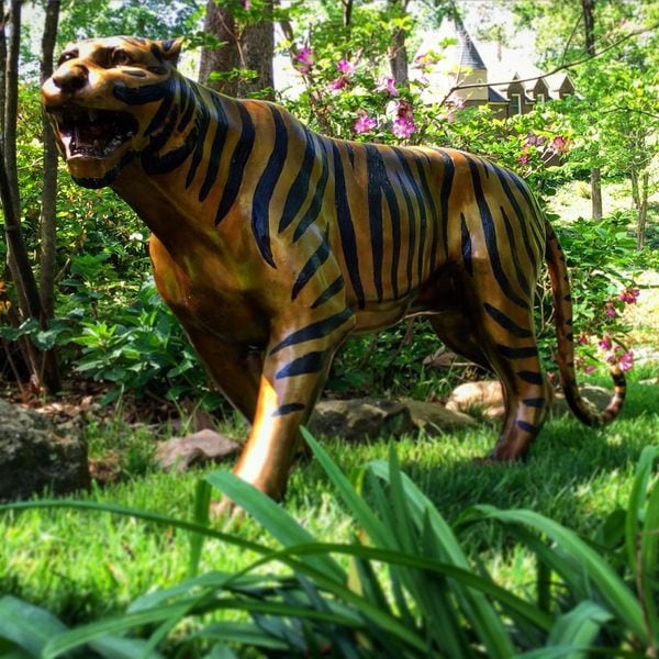 Tiger Life Size Bronze Sculpture - Image 3