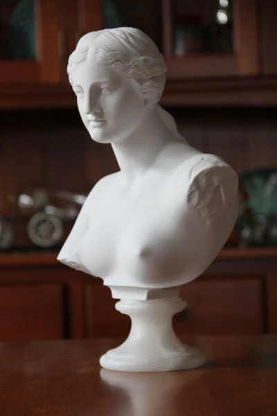 Venus De Milo Bust 13" High - Image 2